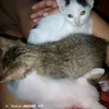 iushen2xvalentina