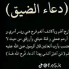 8hsen5