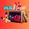 Mr.Karaoke Store