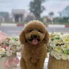 huong_87_1