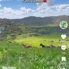 user4358817872921