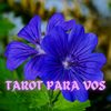 TAROT PARA VOS