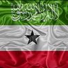 hibaqa.maxamed4