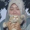 big.boss.sergai