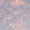 crezy_1604