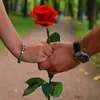 www.tictok.com181