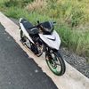 yann_pakcoy