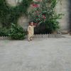 user7385326615305