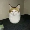 tuaans.hungw
