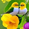 zeba.islam31