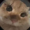 mian_tho_ne