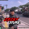 zeckysture