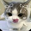 munia__07