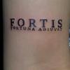 fortis005