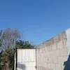 gustavo43512