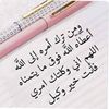 saba.elsayed5