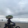 ahmad.taofik14