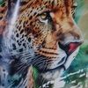 Zerotiger8