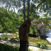 shwezin_z