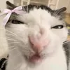 _blinksty5