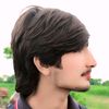 raeesalidiplanasial