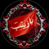 zahraabed950