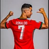 .cr735105