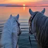 asma_1027