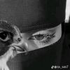 shahinaz.mohammed8