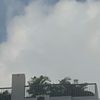samiya.sultana2682