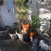 dianefmof90