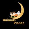 animalsplanet68