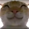 monkeycan4do
