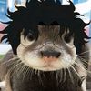 unapersonawakakiso