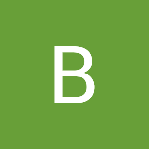 boid.dectetive