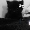 sofity.kitu