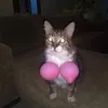 vikkkpikmichorni