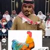 folan.bn55