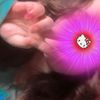 sofiarojas123l