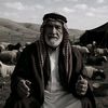 useraljbawi5