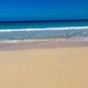 rasha.alsayed40