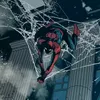 fan_spiders01