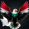 amenmohamed498