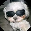 bruno.correa772