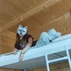 cat_.named_.molly