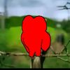 eduardoalejandro671