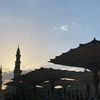 hasaae0
