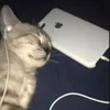 slowedsongs