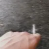 blkgnv