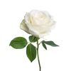 marylin5179